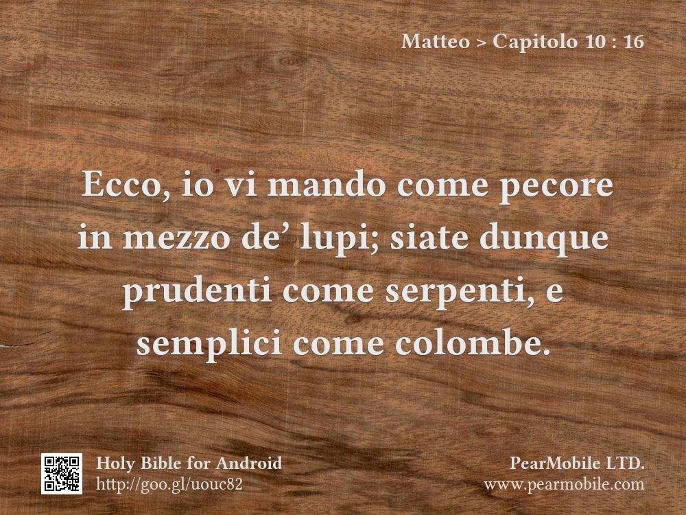 Matteo, Capitolo 10:16